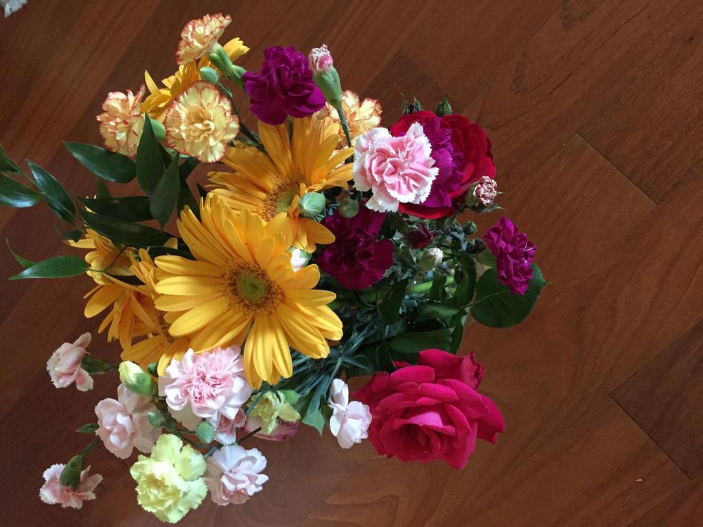 לודי Guesthouse Flora מראה חיצוני תמונה